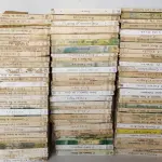 LOTE 609 - RARA COLEÇÃO SARAIVA COM 277 LIVROS MAIS 28  LIVROS  RAROS (NO ESTADO)