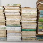 LOTE 609 - RARA COLEÇÃO SARAIVA COM 277 LIVROS MAIS 28  LIVROS  RAROS (NO ESTADO)
