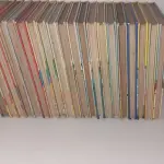 LOTE 595 - BIBLIOTECA DO ESCOTEIRO MIRIM - WALT DISNEY - 20 VOLUMES (NO ESTADO)