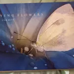 LOTE 614 - RARO LIVRO FLYING FLOWERS RICK SAMMON (NO ESTADO)