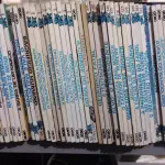 LOTE 584 - LOTE GIBIS ANTIGOS TEX EDITORA GLOBO COM 150 GIBIS (NO ESTADO)