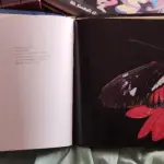 LOTE 614 - RARO LIVRO FLYING FLOWERS RICK SAMMON (NO ESTADO)