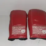 LOTE 454 - LUVAS BOX (NO ESTADO)
