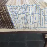 LOTE 640 - COLEÇÃO OBRAS IMORTAIS DA NOSSA LITERATURA COM 45 VOLUMES MAIS 19 LIVROS VÁRIOS TEMAS (NO ESTADO)