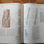 LOTE 698 - LIVRO PROMETHEUS, ATLAS DE ANATOMIA CAPA DURA . (NO ESTADO)