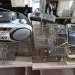 LOTE 247 - 01 APARELHO DE SOM, VÁRIAS CALCULADORAS E RATOEIRAS. (NO ESTADO) ATENÇÃO! FAZER A VISITAÇÃO ANTES DE ARREMATAR, NÃO SABEMOS SE FUNCIONA. LEILÃO NÃO TEM GARANTIA E NEM DEVOLUÇÃO, SUJEITO A POSSÍVEIS AVARIAS VISÍVEIS/OCULTAS E/OU AUSÊNCIA DE COMPONENTES.