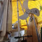 LOTE 469 - 01 OMBRELONE, 01 PRANCHA DE SURF, 01 VENTILADOR E 01 SUCATA DE WALKMACHINE. (NO ESTADO) ATENÇÃO! FAZER A VISITAÇÃO ANTES DE ARREMATAR, NÃO SABEMOS SE FUNCIONA. LEILÃO NÃO TEM GARANTIA E NEM DEVOLUÇÃO, SUJEITO A POSSÍVEIS AVARIAS VISÍVEIS/OCULTAS E/OU AUSÊNCIA DE COMPONENTES.