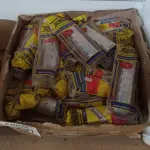 LOTE 241 - 01 LOTE COM VÁRIOS REATORES PARA LÂMPADAS FLUORESCENTE MARCAS E MODELOS DIVERSOS. (NO ESTADO) ATENÇÃO! FAZER A VISITAÇÃO ANTES DE ARREMATAR, NÃO SABEMOS SE FUNCIONA. LEILÃO NÃO TEM GARANTIA E NEM DEVOLUÇÃO, SUJEITO A POSSÍVEIS AVARIAS VISÍVEIS/OCULTAS E/OU AUSÊNCIA DE COMPONENTES.