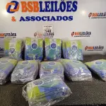 LOTE 148 - 10 PACOTES DE LUVAS DE LÁTEX TAMANHO “P”. (NO ESTADO) ATENÇÃO! FAZER A VISITAÇÃO ANTES DE ARREMATAR, NÃO SABEMOS SE FUNCIONA. LEILÃO NÃO TEM GARANTIA E NEM DEVOLUÇÃO, SUJEITO A POSSÍVEIS AVARIAS VISÍVEIS/OCULTAS E/OU AUSÊNCIA DE COMPONENTES.