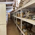 LOTE 395 - 04 ESTANTES EM MADEIRA PARA GALPÃO (NO ESTADO) (SÓ PODERÁ RETIRAR 30 DIAS APÓS O TÉRMINO DO LEILÃO)