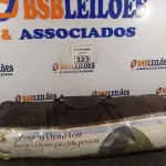 LOTE 323 - 01 BARRACA DE CAMPING MODELO IGLU PARA 03 PESSOAS. (NO ESTADO) ATENÇÃO! FAZER A VISITAÇÃO ANTES DE ARREMATAR, NÃO SABEMOS SE FUNCIONA. LEILÃO NÃO TEM GARANTIA E NEM DEVOLUÇÃO, SUJEITO A POSSÍVEIS AVARIAS VISÍVEIS/OCULTAS E/OU AUSÊNCIA DE COMPONENTES.
