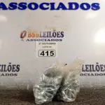 LOTE 415 - 01 KIT DE PARAFUSOS SEXTAVADOS (NO ESTADO) ATENÇÃO! FAZER A VISITAÇÃO ANTES DE ARREMATAR, NÃO SABEMOS SE FUNCIONA. LEILÃO NÃO TEM GARANTIA E NEM DEVOLUÇÃO, SUJEITO A POSSÍVEIS AVARIAS VISÍVEIS/OCULTAS E/OU AUSÊNCIA DE COMPONENTES.