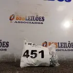 LOTE 451 - 01 KIT DE PARAFUSOS SEXTAVADOS (NO ESTADO) ATENÇÃO! FAZER A VISITAÇÃO ANTES DE ARREMATAR, NÃO SABEMOS SE FUNCIONA. LEILÃO NÃO TEM GARANTIA E NEM DEVOLUÇÃO, SUJEITO A POSSÍVEIS AVARIAS VISÍVEIS/OCULTAS E/OU AUSÊNCIA DE COMPONENTES.