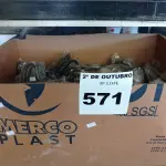 LOTE 571 - 01 LOTE COM VÁRIOS CABOS DE VÍDEO (DVI). (NO ESTADO) ATENÇÃO! FAZER A VISITAÇÃO ANTES DE ARREMATAR, NÃO SABEMOS SE FUNCIONA. LEILÃO NÃO TEM GARANTIA E NEM DEVOLUÇÃO, SUJEITO A POSSÍVEIS AVARIAS VISÍVEIS/OCULTAS E/OU AUSÊNCIA DE COMPONENTES.