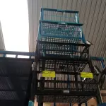 LOTE 293 - 05 CESTOS DE PLÁSTICO. (NO ESTADO) ATENÇÃO! FAZER A VISITAÇÃO ANTES DE ARREMATAR, NÃO SABEMOS SE FUNCIONA. LEILÃO NÃO TEM GARANTIA E NEM DEVOLUÇÃO, SUJEITO A POSSÍVEIS AVARIAS VISÍVEIS/OCULTAS E/OU AUSÊNCIA DE COMPONENTES.