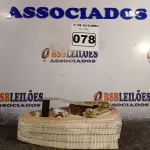 LOTE 078 - 01 CINTA PARA AMARRAÇÃO DE CARGAS. (NO ESTADO) ATENÇÃO! FAZER A VISITAÇÃO ANTES DE ARREMATAR, NÃO SABEMOS SE FUNCIONA. LEILÃO NÃO TEM GARANTIA E NEM DEVOLUÇÃO, SUJEITO A POSSÍVEIS AVARIAS VISÍVEIS/OCULTAS E/OU AUSÊNCIA DE COMPONENTES.