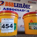 LOTE 454 - 02 GALÕES SIKACRYL-203, SELANTE ACRÍLICO FLEXÍVEL. (NO ESTADO) ATENÇÃO! FAZER A VISITAÇÃO ANTES DE ARREMATAR, NÃO SABEMOS SE FUNCIONA. LEILÃO NÃO TEM GARANTIA E NEM DEVOLUÇÃO, SUJEITO A POSSÍVEIS AVARIAS VISÍVEIS/OCULTAS E/OU AUSÊNCIA DE COMPONENTES.