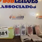LOTE 581 - 01 LOTE COM VÁRIAS PEÇAS PARA IPHONE5. (NO ESTADO) ATENÇÃO! FAZER A VISITAÇÃO ANTES DE ARREMATAR, NÃO SABEMOS SE FUNCIONA. LEILÃO NÃO TEM GARANTIA E NEM DEVOLUÇÃO, SUJEITO A POSSÍVEIS AVARIAS VISÍVEIS/OCULTAS E/OU AUSÊNCIA DE COMPONENTES.