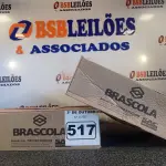LOTE 517 - 02 CAIXAS COM COLA TUBO ST 175G COM 15 FRASCOS CADA. (NO ESTADO) ATENÇÃO! FAZER A VISITAÇÃO ANTES DE ARREMATAR, NÃO SABEMOS SE FUNCIONA. LEILÃO NÃO TEM GARANTIA E NEM DEVOLUÇÃO, SUJEITO A POSSÍVEIS AVARIAS VISÍVEIS/OCULTAS E/OU AUSÊNCIA DE COMPONENTES.