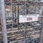LOTE 226 - 01 LOTE COM GRADES DE ALAMBRADO (NO ESTADO, NÃO SABEMOS SE FUNCIONA. LEILÃO NÃO TEM GARANTIA E NEM DEVOLUÇÃO).