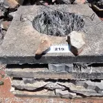 LOTE 219 - 04 TAMPAS QUADRADAS EM CONCRETO (NO ESTADO, NÃO SABEMOS SE FUNCIONA. LEILÃO NÃO TEM GARANTIA E NEM DEVOLUÇÃO).