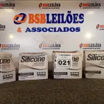 LOTE 021 - 04 CAIXAS COM BISNAGAS DE SILICONE MULTIUSO. (NO ESTADO) ATENÇÃO! FAZER A VISITAÇÃO ANTES DE ARREMATAR, NÃO SABEMOS SE FUNCIONA. LEILÃO NÃO TEM GARANTIA E NEM DEVOLUÇÃO, SUJEITO A POSSÍVEIS AVARIAS VISÍVEIS/OCULTAS E/OU AUSÊNCIA DE COMPONENTES.