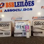 LOTE 021 - 04 CAIXAS COM BISNAGAS DE SILICONE MULTIUSO. (NO ESTADO) ATENÇÃO! FAZER A VISITAÇÃO ANTES DE ARREMATAR, NÃO SABEMOS SE FUNCIONA. LEILÃO NÃO TEM GARANTIA E NEM DEVOLUÇÃO, SUJEITO A POSSÍVEIS AVARIAS VISÍVEIS/OCULTAS E/OU AUSÊNCIA DE COMPONENTES.