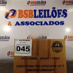 LOTE 045 - 01 LOTE COM VÁRIOS FRASCOS DE GÉIS PARA MASSAGEM. (NO ESTADO) ATENÇÃO! FAZER A VISITAÇÃO ANTES DE ARREMATAR, NÃO SABEMOS SE FUNCIONA. LEILÃO NÃO TEM GARANTIA E NEM DEVOLUÇÃO, SUJEITO A POSSÍVEIS AVARIAS VISÍVEIS/OCULTAS E/OU AUSÊNCIA DE COMPONENTES.
