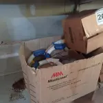 LOTE 204 - 01 LOTE COM VÁRIAS LUMINÁRIAS E REATORES PARA LÂMPADAS FLUORESCENTES MARCAS E MODELOS DIVERSOS. (NO ESTADO) ATENÇÃO! FAZER A VISITAÇÃO ANTES DE ARREMATAR, NÃO SABEMOS SE FUNCIONA. LEILÃO NÃO TEM GARANTIA E NEM DEVOLUÇÃO, SUJEITO A POSSÍVEIS AVARIAS VISÍVEIS/OCULTAS E/OU AUSÊNCIA DE COMPONENTES.