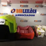 LOTE 126 - 01 CASINHA DE CACHORRO COM CAMINHA E 03 PACOTES DE FRALDAS PARA PETS. (NO ESTADO) ATENÇÃO! FAZER A VISITAÇÃO ANTES DE ARREMATAR, NÃO SABEMOS SE FUNCIONA. LEILÃO NÃO TEM GARANTIA E NEM DEVOLUÇÃO, SUJEITO A POSSÍVEIS AVARIAS VISÍVEIS/OCULTAS E/OU AUSÊNCIA DE COMPONENTES.