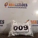 LOTE 009 - 01 KIT DE PARAFUSOS SEXTAVADOS (NO ESTADO) ATENÇÃO! FAZER A VISITAÇÃO ANTES DE ARREMATAR, NÃO SABEMOS SE FUNCIONA. LEILÃO NÃO TEM GARANTIA E NEM DEVOLUÇÃO, SUJEITO A POSSÍVEIS AVARIAS VISÍVEIS/OCULTAS E/OU AUSÊNCIA DE COMPONENTES.