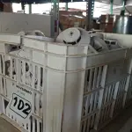 LOTE 102 - 01 LOTE COM GRANDE QUANTIDADE DETECTORES DE FUMAÇA. (NO ESTADO) ATENÇÃO! FAZER A VISITAÇÃO ANTES DE ARREMATAR, NÃO SABEMOS SE FUNCIONA. LEILÃO NÃO TEM GARANTIA E NEM DEVOLUÇÃO, SUJEITO A POSSÍVEIS AVARIAS VISÍVEIS/OCULTAS E/OU AUSÊNCIA DE COMPONENTES.