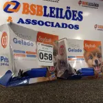 LOTE 058 - 02 TAPETES GELADOS. (NO ESTADO) ATENÇÃO! FAZER A VISITAÇÃO ANTES DE ARREMATAR, NÃO SABEMOS SE FUNCIONA. LEILÃO NÃO TEM GARANTIA E NEM DEVOLUÇÃO, SUJEITO A POSSÍVEIS AVARIAS VISÍVEIS/OCULTAS E/OU AUSÊNCIA DE COMPONENTES.