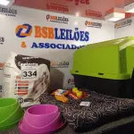 LOTE 334 - 01 CASINHA DE CACHORRO, 01 CAMINHA, 02 COMEDOUROS, 02 BRINQUEDOS E 01 PACOTE DE TAPETE HIGIÊNICO. (NO ESTADO) ATENÇÃO! FAZER A VISITAÇÃO ANTES DE ARREMATAR, NÃO SABEMOS SE FUNCIONA. LEILÃO NÃO TEM GARANTIA E NEM DEVOLUÇÃO, SUJEITO A POSSÍVEIS AVARIAS VISÍVEIS/OCULTAS E/OU AUSÊNCIA DE COMPONENTES.