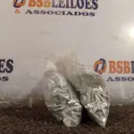 LOTE 009 - 01 KIT DE PARAFUSOS SEXTAVADOS (NO ESTADO) ATENÇÃO! FAZER A VISITAÇÃO ANTES DE ARREMATAR, NÃO SABEMOS SE FUNCIONA. LEILÃO NÃO TEM GARANTIA E NEM DEVOLUÇÃO, SUJEITO A POSSÍVEIS AVARIAS VISÍVEIS/OCULTAS E/OU AUSÊNCIA DE COMPONENTES.