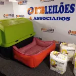 LOTE 126 - 01 CASINHA DE CACHORRO COM CAMINHA E 03 PACOTES DE FRALDAS PARA PETS. (NO ESTADO) ATENÇÃO! FAZER A VISITAÇÃO ANTES DE ARREMATAR, NÃO SABEMOS SE FUNCIONA. LEILÃO NÃO TEM GARANTIA E NEM DEVOLUÇÃO, SUJEITO A POSSÍVEIS AVARIAS VISÍVEIS/OCULTAS E/OU AUSÊNCIA DE COMPONENTES.