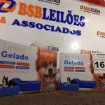 LOTE 168 - 02 TAPETES GELADO. (NO ESTADO) ATENÇÃO! FAZER A VISITAÇÃO ANTES DE ARREMATAR, NÃO SABEMOS SE FUNCIONA. LEILÃO NÃO TEM GARANTIA E NEM DEVOLUÇÃO, SUJEITO A POSSÍVEIS AVARIAS VISÍVEIS/OCULTAS E/OU AUSÊNCIA DE COMPONENTES.