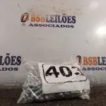 LOTE 403 - 01 KIT DE PARAFUSOS SEXTAVADOS (NO ESTADO) ATENÇÃO! FAZER A VISITAÇÃO ANTES DE ARREMATAR, NÃO SABEMOS SE FUNCIONA. LEILÃO NÃO TEM GARANTIA E NEM DEVOLUÇÃO, SUJEITO A POSSÍVEIS AVARIAS VISÍVEIS/OCULTAS E/OU AUSÊNCIA DE COMPONENTES.