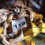 LOTE 119 - 05 CINTOS DE SEGURANÇA NO TRABALHO. (NO ESTADO) ATENÇÃO! FAZER A VISITAÇÃO ANTES DE ARREMATAR, NÃO SABEMOS SE FUNCIONA. LEILÃO NÃO TEM GARANTIA E NEM DEVOLUÇÃO, SUJEITO A POSSÍVEIS AVARIAS VISÍVEIS/OCULTAS E/OU AUSÊNCIA DE COMPONENTES.