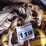 LOTE 119 - 05 CINTOS DE SEGURANÇA NO TRABALHO. (NO ESTADO) ATENÇÃO! FAZER A VISITAÇÃO ANTES DE ARREMATAR, NÃO SABEMOS SE FUNCIONA. LEILÃO NÃO TEM GARANTIA E NEM DEVOLUÇÃO, SUJEITO A POSSÍVEIS AVARIAS VISÍVEIS/OCULTAS E/OU AUSÊNCIA DE COMPONENTES.