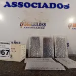 LOTE 067 - 06 TELAS PARA CELULAR REDMI. (NO ESTADO) ATENÇÃO! FAZER A VISITAÇÃO ANTES DE ARREMATAR, NÃO SABEMOS SE FUNCIONA. LEILÃO NÃO TEM GARANTIA E NEM DEVOLUÇÃO, SUJEITO A POSSÍVEIS AVARIAS VISÍVEIS/OCULTAS E/OU AUSÊNCIA DE COMPONENTES.