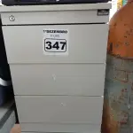 LOTE 347 - 02 GAVETEIROS COM 03 GAVETAS. (NO ESTADO) ATENÇÃO! FAZER A VISITAÇÃO ANTES DE ARREMATAR, NÃO SABEMOS SE FUNCIONA. LEILÃO NÃO TEM GARANTIA E NEM DEVOLUÇÃO, SUJEITO A POSSÍVEIS AVARIAS VISÍVEIS/OCULTAS E/OU AUSÊNCIA DE COMPONENTES.
