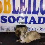 LOTE 018 - 01 - VASO DE MADEIRA TRABALHADA (NO ESTADO, NÃO SABEMOS SE FUNCIONA. LEILÃO NÃO TEM GARANTIA E NEM DEVOLUÇÃO, SUJEITO A POSSÍVEIS AVARIAS VISÍVEIS/OCULTAS E/OU AUSÊNCIA DE COMPONENTES)