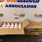 LOTE 197 - 02 CAIXAS COM COLA TUBO ST 175G COM 15 FRASCOS CADA. (NO ESTADO) ATENÇÃO! FAZER A VISITAÇÃO ANTES DE ARREMATAR, NÃO SABEMOS SE FUNCIONA. LEILÃO NÃO TEM GARANTIA E NEM DEVOLUÇÃO, SUJEITO A POSSÍVEIS AVARIAS VISÍVEIS/OCULTAS E/OU AUSÊNCIA DE COMPONENTES.