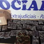 LOTE 071 - 35 - TOUCAS NINJA(APROXIMADAMENTE) (NO ESTADO, NÃO SABEMOS SE FUNCIONA. LEILÃO NÃO TEM GARANTIA E NEM DEVOLUÇÃO, SUJEITO A POSSÍVEIS AVARIAS VISÍVEIS/OCULTAS E/OU AUSÊNCIA DE COMPONENTES)
