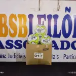 LOTE 017 - 03 - BOLAS SOCIETY (NO ESTADO, NÃO SABEMOS SE FUNCIONA. LEILÃO NÃO TEM GARANTIA E NEM DEVOLUÇÃO, SUJEITO A POSSÍVEIS AVARIAS VISÍVEIS/OCULTAS E/OU AUSÊNCIA DE COMPONENTES)