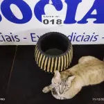 LOTE 018 - 01 - VASO DE MADEIRA TRABALHADA (NO ESTADO, NÃO SABEMOS SE FUNCIONA. LEILÃO NÃO TEM GARANTIA E NEM DEVOLUÇÃO, SUJEITO A POSSÍVEIS AVARIAS VISÍVEIS/OCULTAS E/OU AUSÊNCIA DE COMPONENTES)