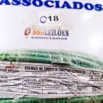LOTE 018 - 01 ROLO DE CABO FLEXÍVEL 100M 1X10MM COR VERDE STAR BRAZIL COM SELO INMETRO. (NOVO). (NO ESTADO, NÃO SABEMOS SE FUNCIONA. LEILÃO NÃO TEM GARANTIA E NEM DEVOLUÇÃO).