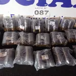 LOTE 087 - 1000 - EMBALAGENS BLISTER DOCINHO BRIGADEIRO GOURMET.(APROXIMADAMENTE) (NO ESTADO, NÃO SABEMOS SE FUNCIONA. LEILÃO NÃO TEM GARANTIA E NEM DEVOLUÇÃO, SUJEITO A POSSÍVEIS AVARIAS VISÍVEIS/OCULTAS E/OU AUSÊNCIA DE COMPONENTES)