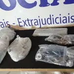 LOTE 075 - ACESSÓRIOS DE BANHEIRO DIVERSOS (NO ESTADO, NÃO SABEMOS SE FUNCIONA. LEILÃO NÃO TEM GARANTIA E NEM DEVOLUÇÃO, SUJEITO A POSSÍVEIS AVARIAS VISÍVEIS/OCULTAS E/OU AUSÊNCIA DE COMPONENTES)